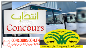 الشركة الجهوية للنقل القوافل ڨفصة